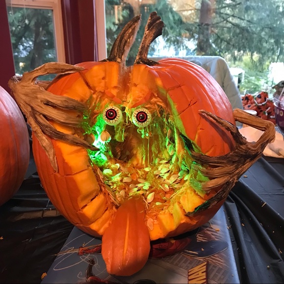 Meet your Posher, Rae - Picture 2 of 2